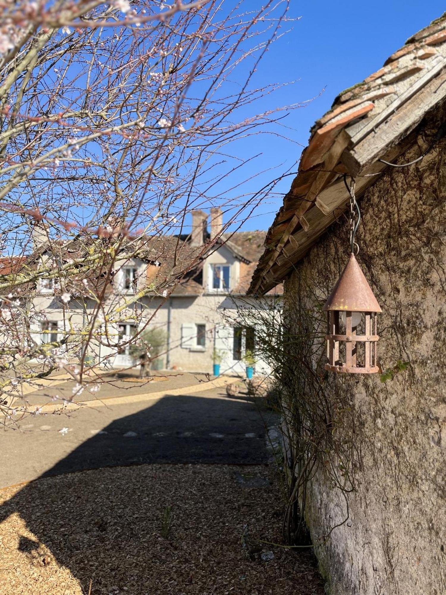 Bed and Breakfast Nuits De Loire -Entre Blois Et Chambord Винёй Номер фото